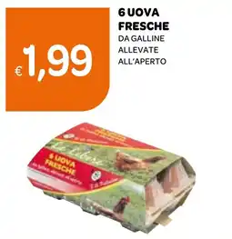 Ekom Uova fresche offerta