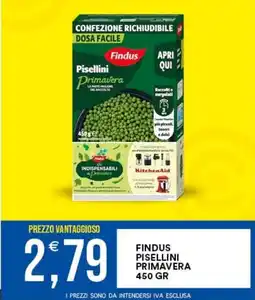Vantaggio Cash&Carry Findus Pisellini Primavera offerta