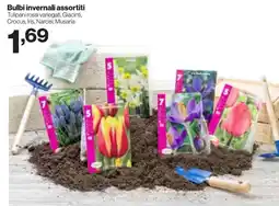 In'S Mercato Bulbi invernali assortiti offerta