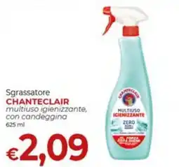 Maxi Nonna Isa Sgrassatore Chanteclair multiuso igienizzante offerta