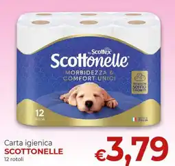Maxi Nonna Isa Carta igienica Scottonelle offerta