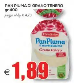 SuperOne Pan Piùma Di Grano Tenero offerta