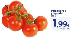 Ok Sigma Pomodoro a grappolo offerta
