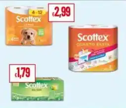Pan Scottex offerta