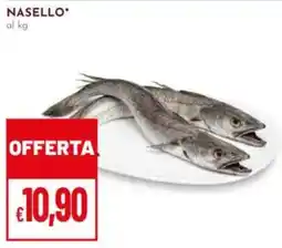 Pan Nasello offerta