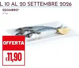 Pan Sgombro offerta