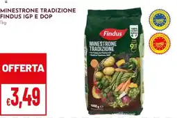 Pan Minestrone tradizione Findus offerta