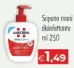 MerSi Supermercati Sapone mani disinfettante offerta