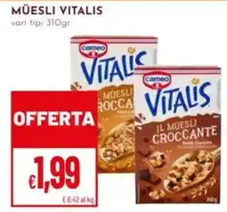 Pan Muesli Vitalis offerta