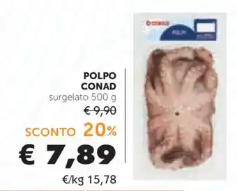 Polpo Conad