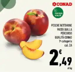 Conad Tuday Pesche nettarine pasta gialla percorso qualità conad offerta