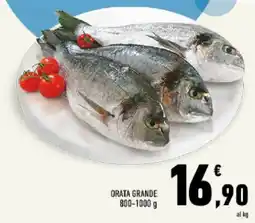 Conad Tuday Orata Grande offerta