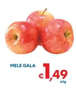MD Discount Mele Gala offerta