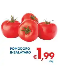 MD Discount POMODORO INSALATARO offerta