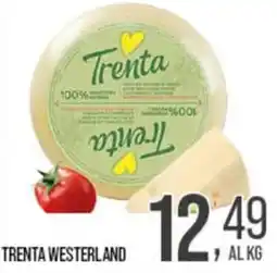Cash pro Trenta Westerland offerta