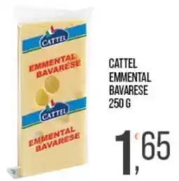 Cash pro Cattel Emmentale Bavarese offerta