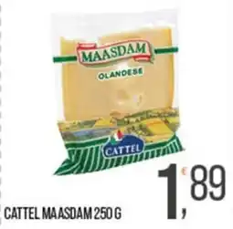 Cash pro Cattel Maasdam offerta