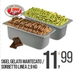Cash pro Sigel gelato mantecato / sorbetto linea offerta