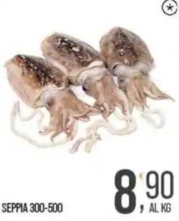 Cash pro Seppia offerta