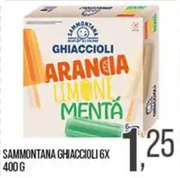 Cash pro Sammontana ghiaccioli offerta