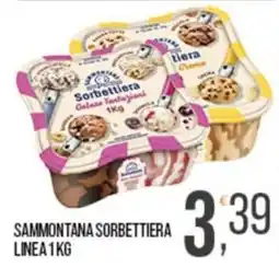 Cash pro Sammontana sorbettiera linea 1 kg offerta