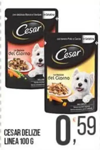 Cash pro Cesar Delizie Linea offerta