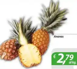 DiMeglio Ananas offerta