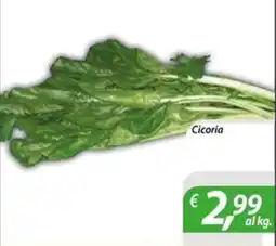 DiMeglio Cicoria offerta