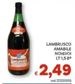 Vivo Supermercati Lambrusco Amabile Noi&Voi offerta