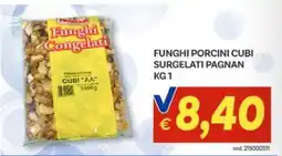 Vivo Supermercati Funghi porcini cubi surgelati Pagnan offerta