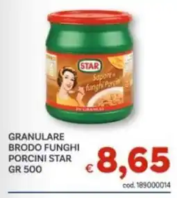 Vivo Supermercati Granulare brodo funghi porcini Star offerta