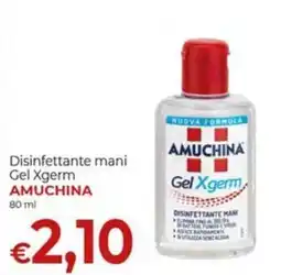 Supermercati Nonna Isa Disinfettante mani Gel Xgerm AMUCHINA offerta