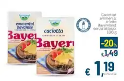 Aldel Discount Caciotta Bayernland offerta