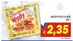 Vivo Supermercati Wudy Pollo Aia offerta