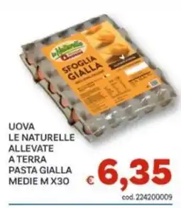 Vivo Supermercati Uova le naturelle sfoglia gialla offerta