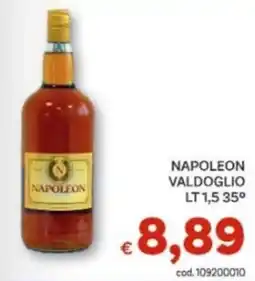 Vivo Supermercati Napoleon offerta