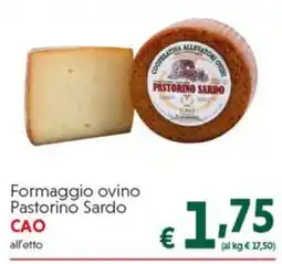 DiMeglio Formaggio ovino Pastorino Sardo CAO offerta