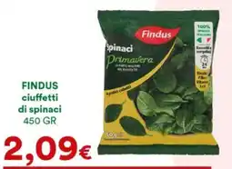 Supermercati Pasquale Prisco Findus ciuffetti di spinaci offerta