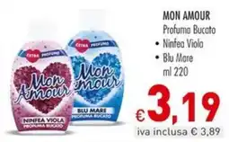 Cash & Carry Grossy Mon Amour Profuma Bucato offerta