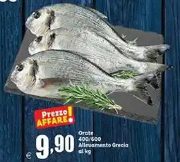 Elite Orate offerta