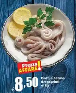 Elite Ciuffi di totano offerta