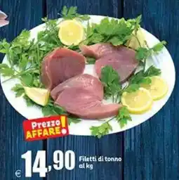 Elite Filetti di tonno offerta