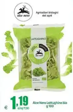 Elite Alce Nero Lattughino bio offerta