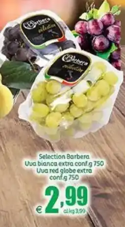 Elite Selection Barbera offerta