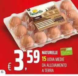 Coop Master Alleanza 3.0 Naturelle uova medie offerta