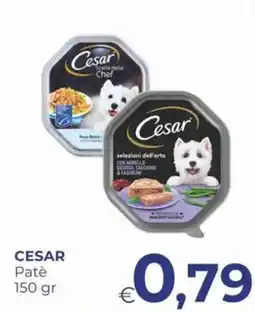 Pilato Cesar Patè offerta