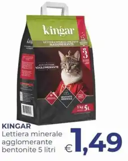 Pilato Kingar lettiera minerale agglomerante offerta