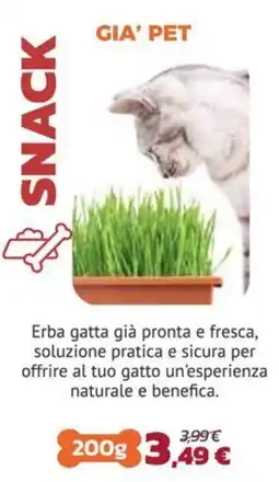 Joe Zampetti Erba gatta Gia' Pet offerta