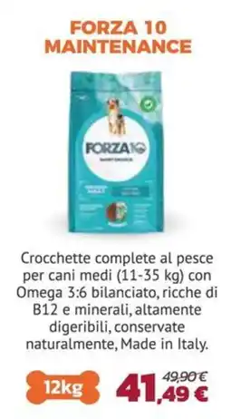 Joe Zampetti Forza 10 Maintenance offerta