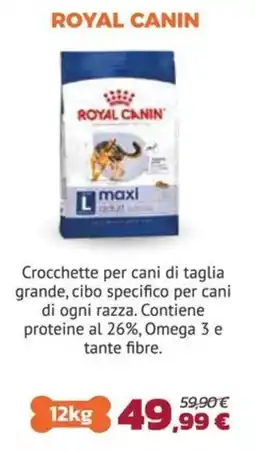 Joe Zampetti Royal Canin maxi adult offerta